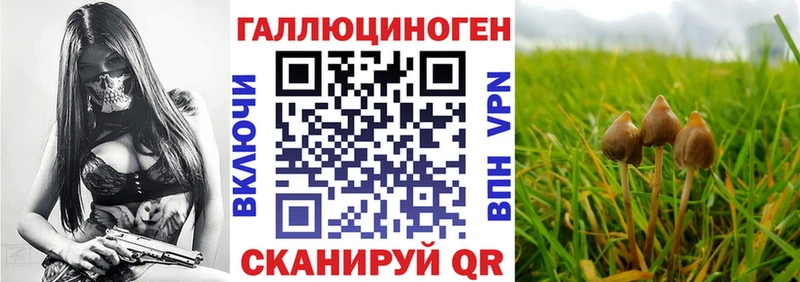 Галлюциногенные грибы Magic Shrooms  Бабаево 