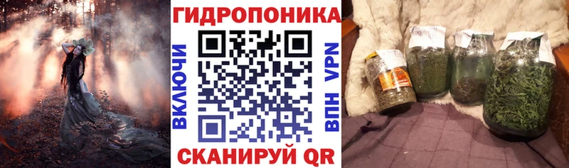 купить наркотик  Бабаево  Бошки марихуана Bruce Banner 